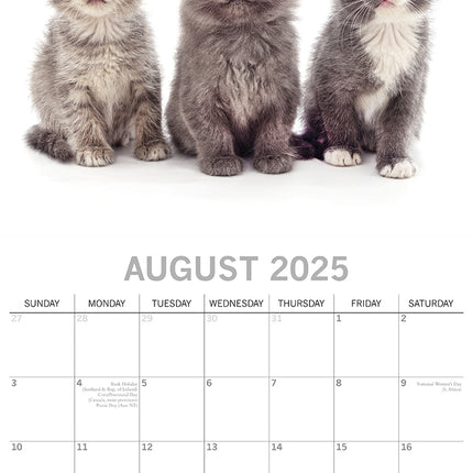 Cute Kittens - 2025 Square Wall Calendar Pets Animals 16 Months Premium Planner