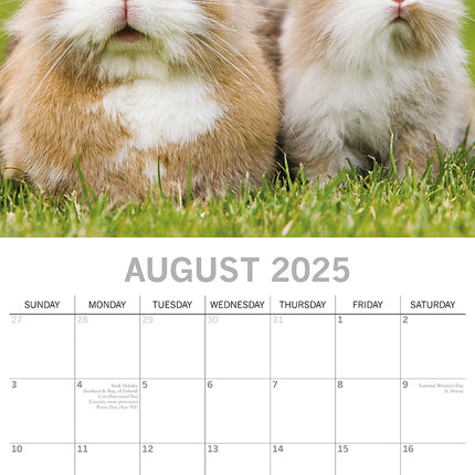 Cute Bunnies - 2025 Square Wall Calendar Pets Animals 16 Months Premium Planner