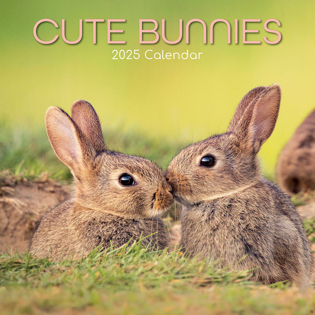 Cute Bunnies - 2025 Square Wall Calendar Pets Animals 16 Months Premium Planner