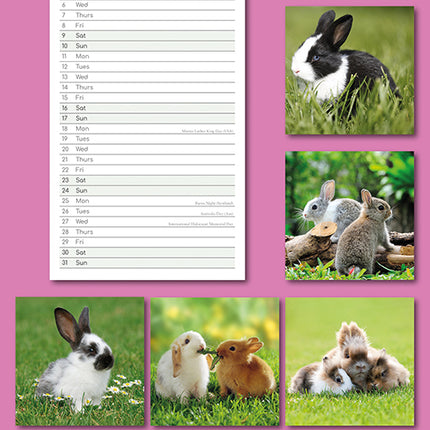 Cute Bunnies 2027 Premium Slim Wall Calendar back cover
