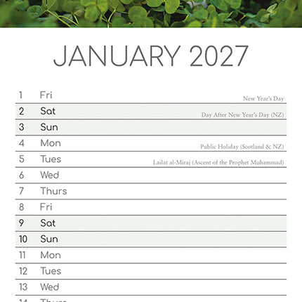 Cute Bunnies 2027 Premium Slim Wall Calendar January sample page