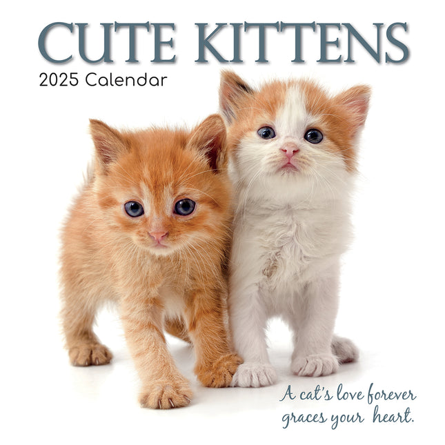 Cute Kittens - 2025 Square Wall Calendar Pets Animals 16 Months Premium Planner