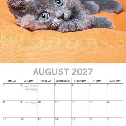 Cute Kittens 2027 Square Wall Calendar August sample page