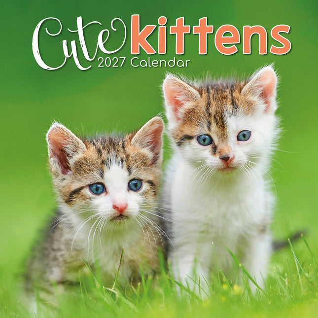 Cute Kittens 2027 Square Wall Calendar cover