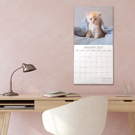 Cute Kittens 2027 Square Wall Calendar lifestyle image