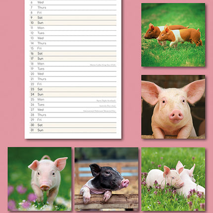 Cute Piggies 2027 Premium Slim Wall Calendar back cover