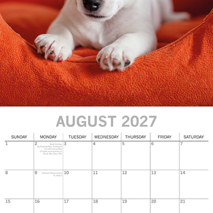 Cute Puppies 2027 Square Wall Calendar August sample page