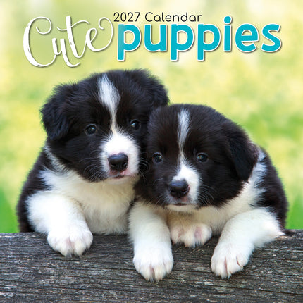 Cute Puppies 2027 Square Wall Calendar cover