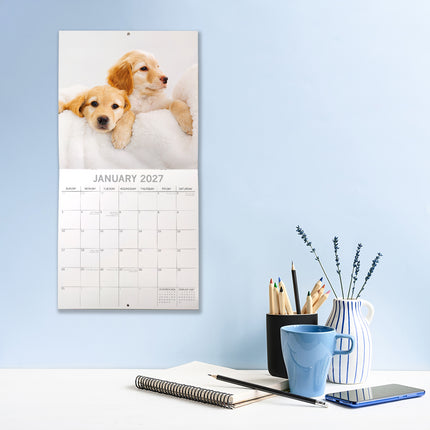 Cute Puppies 2027 Square Wall Calendar lifestyle image