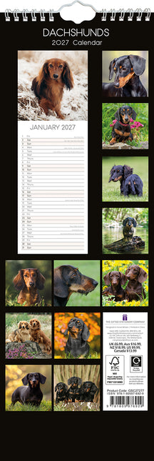 Dachshunds 2027 Premium Slim Wall Calendar back cover