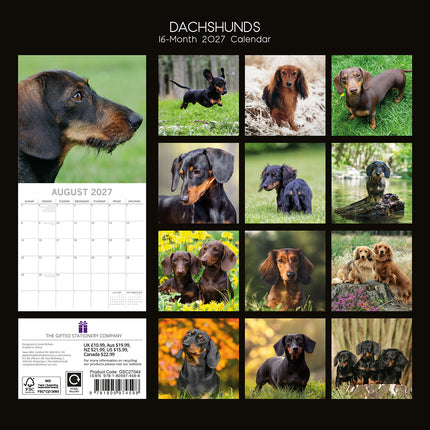 Dachshunds 2027 Premium Square Wall Calendar back cover