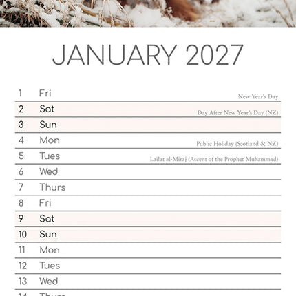 Dachshunds 2027 Premium Slim Wall Calendar January sample page