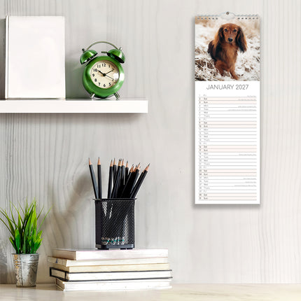 Dachshunds 2027 Premium Slim Wall Calendar lifestyle image