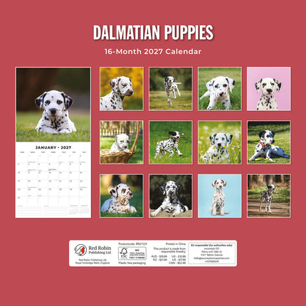 Dalmatian Puppies 2027 square wall calendar - back cover