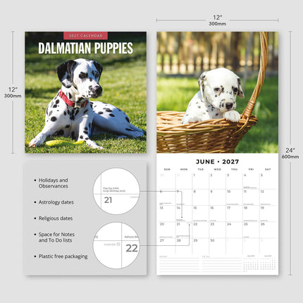 Dalmatian Puppies 2027 square wall calendar - product specifications