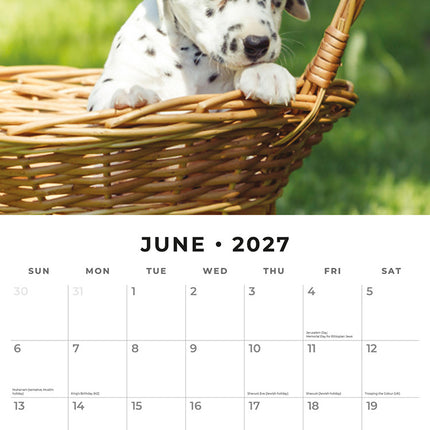Dalmatian Puppies 2027 square wall calendar - monthly calendar spread