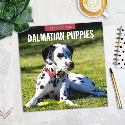 Dalmatian Puppies 2027 square wall calendar - image detail