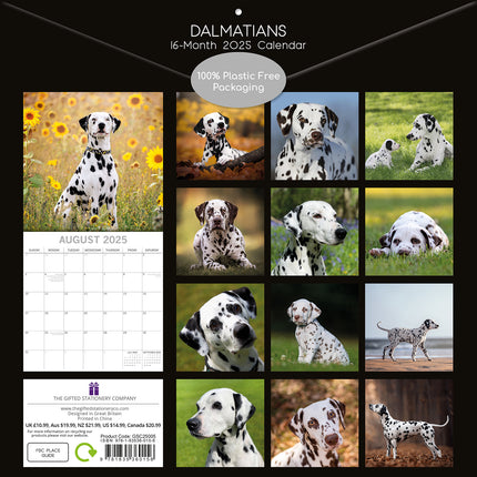 Dalmatians 2025 Square Wall Calendar Dogs Pets Animals 16 Months Premium Planner