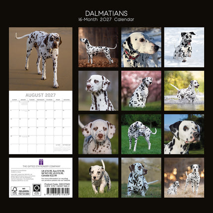 Dalmatians 2027 Premium Square Wall Calendar back cover