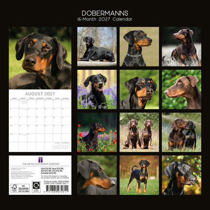 Dobermanns 2027 Premium Square Wall Calendar back cover