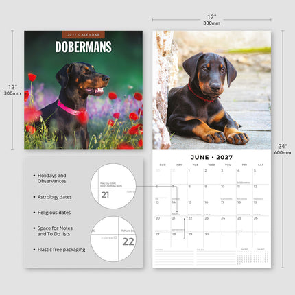 Dobermans 2027 square wall calendar - product specifications