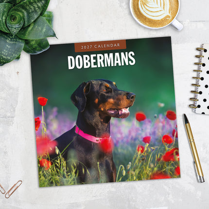 Dobermans 2027 square wall calendar - image detail