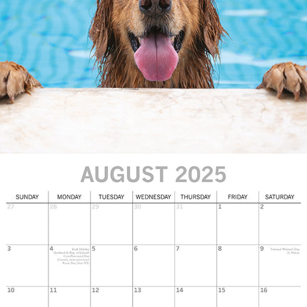 Dog Shaming 2025 Square Wall Calendar Pets Animals 16-Month Premium Planner Gift