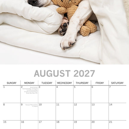Dog Naps 2027 Square Wall Calendar August sample page