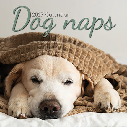 Dog Naps 2027 Square Wall Calendar cover