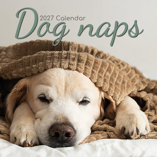 Dog Naps 2027 Square Wall Calendar cover