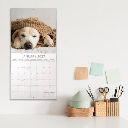 Dog Naps 2027 Square Wall Calendar lifestyle image