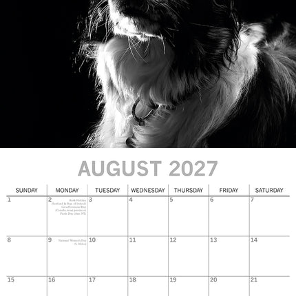 Dog Portraits 2027 Premium Square Wall Calendar August sample page