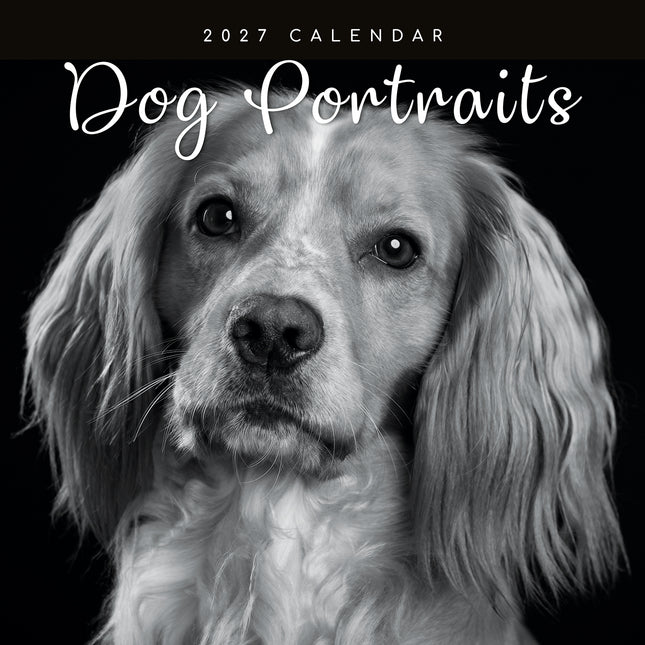Dog Portraits 2027 Premium Square Wall Calendar cover