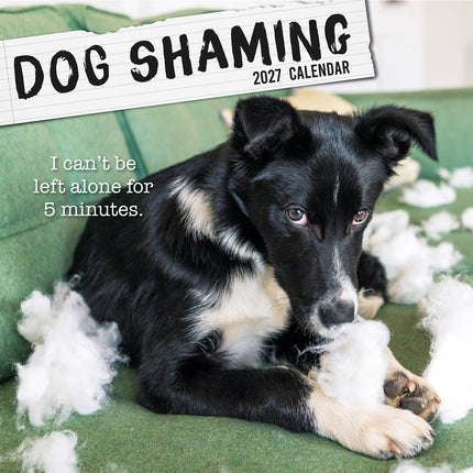 Dog Shaming 2027 Premium Square Wall Calendar cover