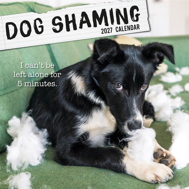 Dog Shaming 2027 Premium Square Wall Calendar cover