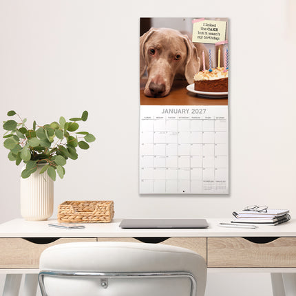Dog Shaming 2027 Premium Square Wall Calendar lifestyle image