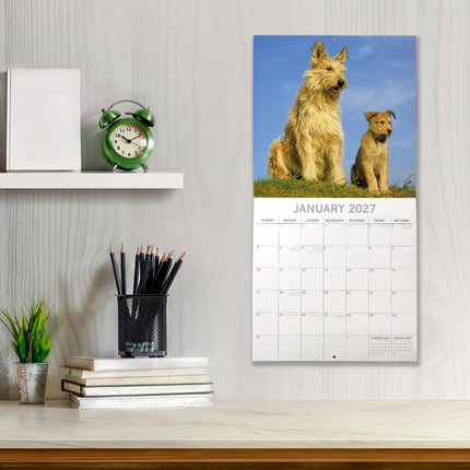 Dogs & Puppies 2027 Square Wall Calendar lifestyle image