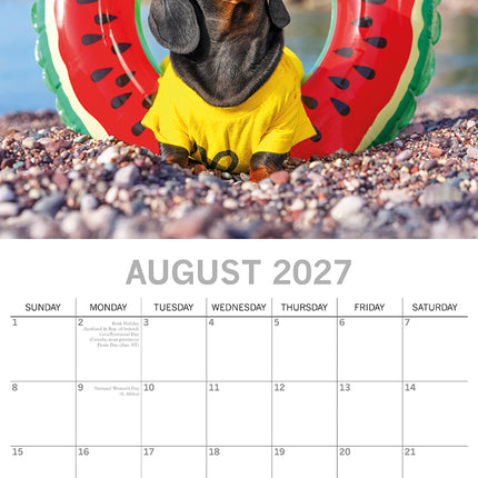 Dogs in Disguise 2027 Premium Square Wall Calendar August sample page