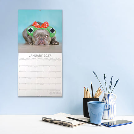 Dogs in Disguise 2027 Premium Square Wall Calendar lifestyle image