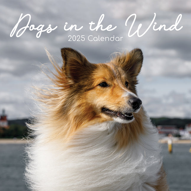 Dogs in the Wind - 2025 Square Wall Calendar Pets Animals 16 Months Planner Gift