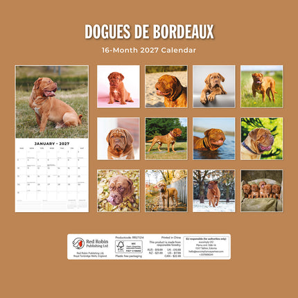 Dogues de Bordeaux 2027 square wall calendar - back cover