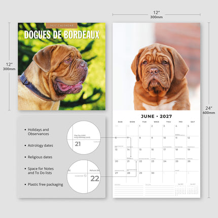 Dogues de Bordeaux 2027 square wall calendar - product specifications