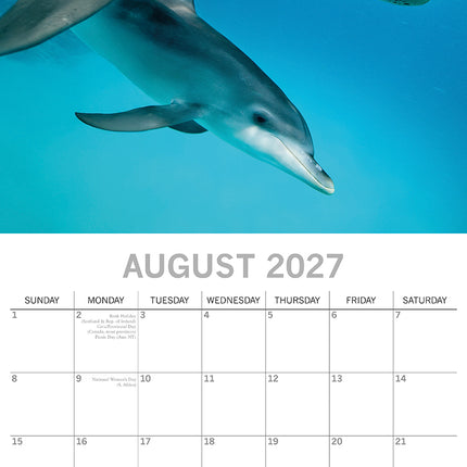 Dolphins 2027 Square Wall Calendar August sample page