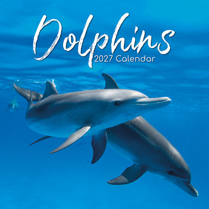 Dolphins 2027 Square Wall Calendar cover