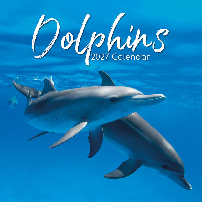 Dolphins 2027 Square Wall Calendar cover