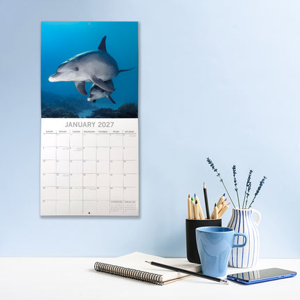Dolphins 2027 Square Wall Calendar lifestyle image