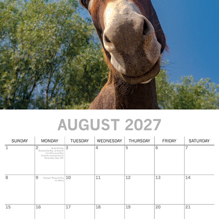 Donkeys 2027 Premium Square Wall Calendar August sample page