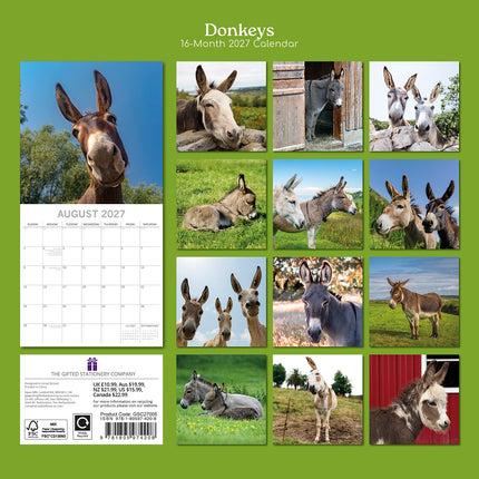 Donkeys 2027 Premium Square Wall Calendar back cover