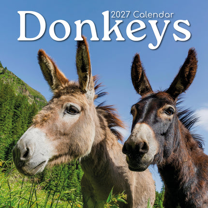 Donkeys 2027 Premium Square Wall Calendar cover