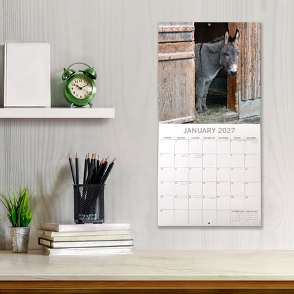 Donkeys 2027 Premium Square Wall Calendar lifestyle image